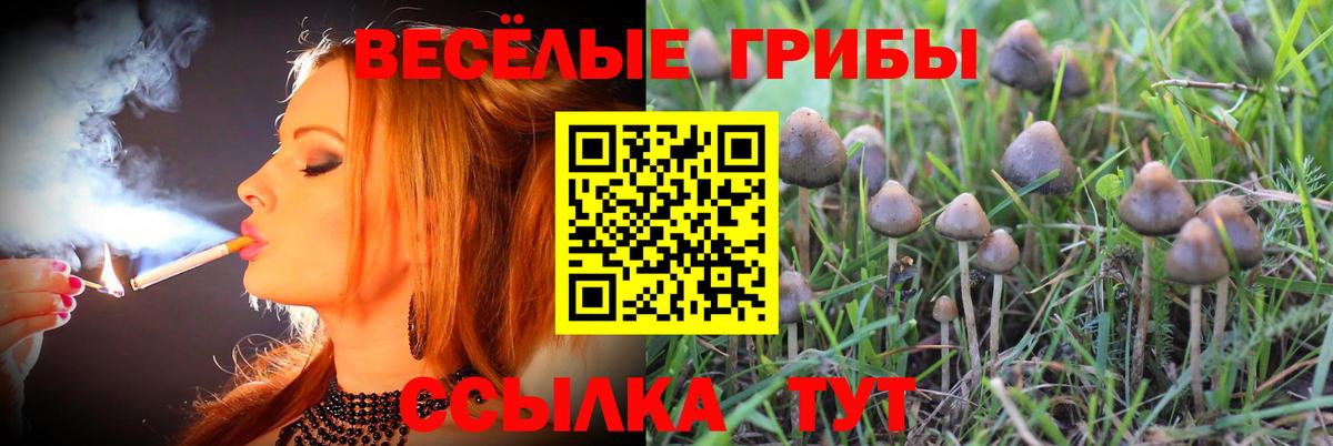 Псилоцибиновые грибы Cubensis  Вход с VPN  где купить наркотик  Когалым 