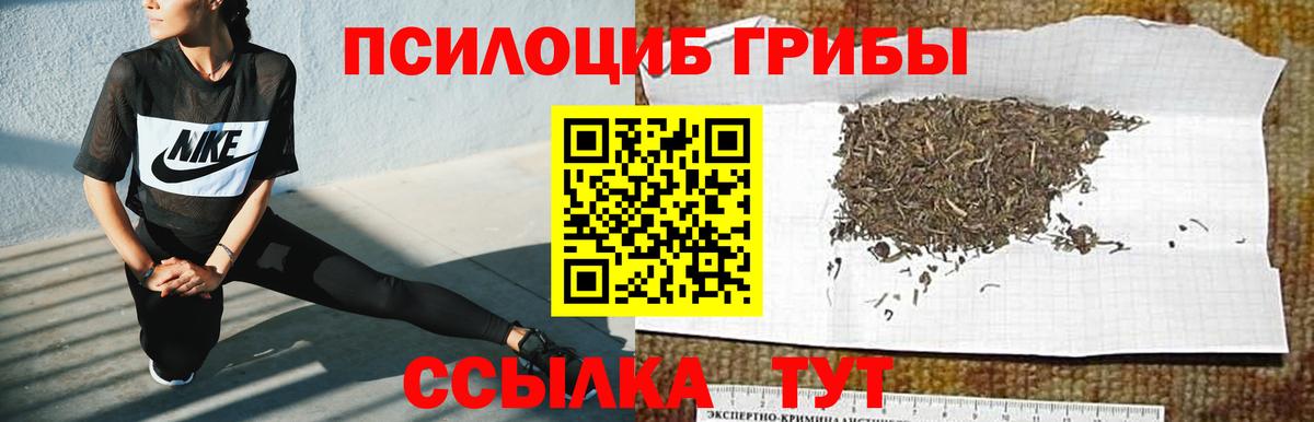 Галлюциногенные грибы Psilocybine cubensis Когалым